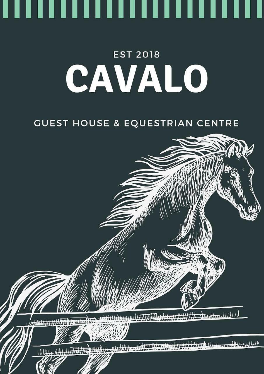 Cavalo Guesthouse & Equestrian Estate Drummond Luaran gambar