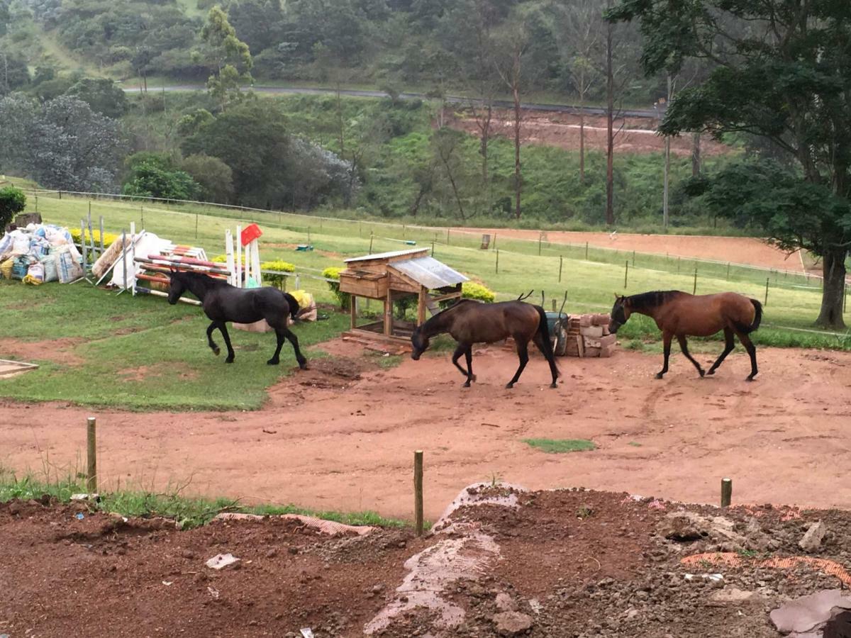 Cavalo Guesthouse & Equestrian Estate Drummond Luaran gambar